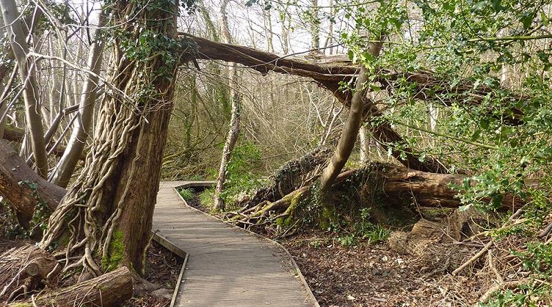 Moseley Bog, Birmingham