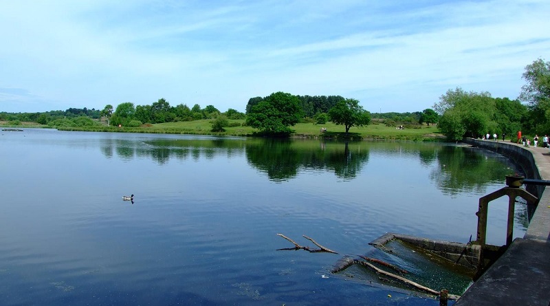 Sutton Park, Birmingham