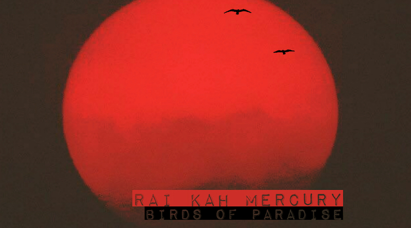 Rai Kah Mercury - Birds of Paradise