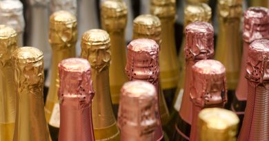An In-Depth Guide On The World Within The Bottles of Champagne